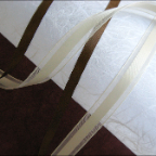 folder ribbon-dustcover detail