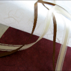 folder ribbon-endpaper detail