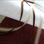 folder ribbon-endpaper detail