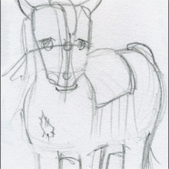 levin_W-pencil-horse-3